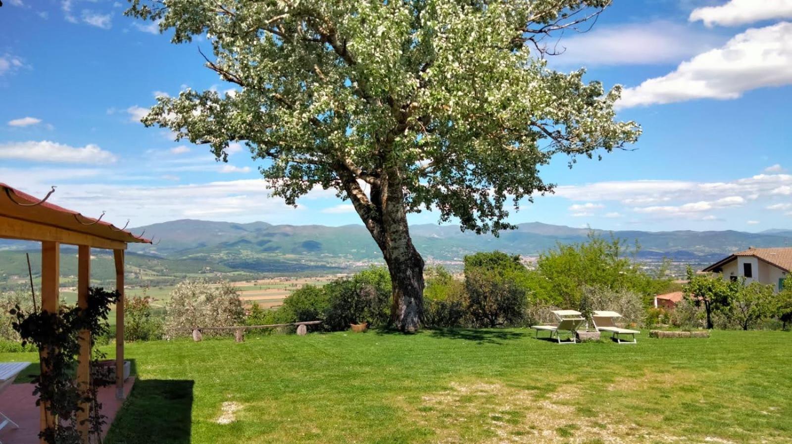 Appartamento Vigna del Poggio Anghiari Esterno foto