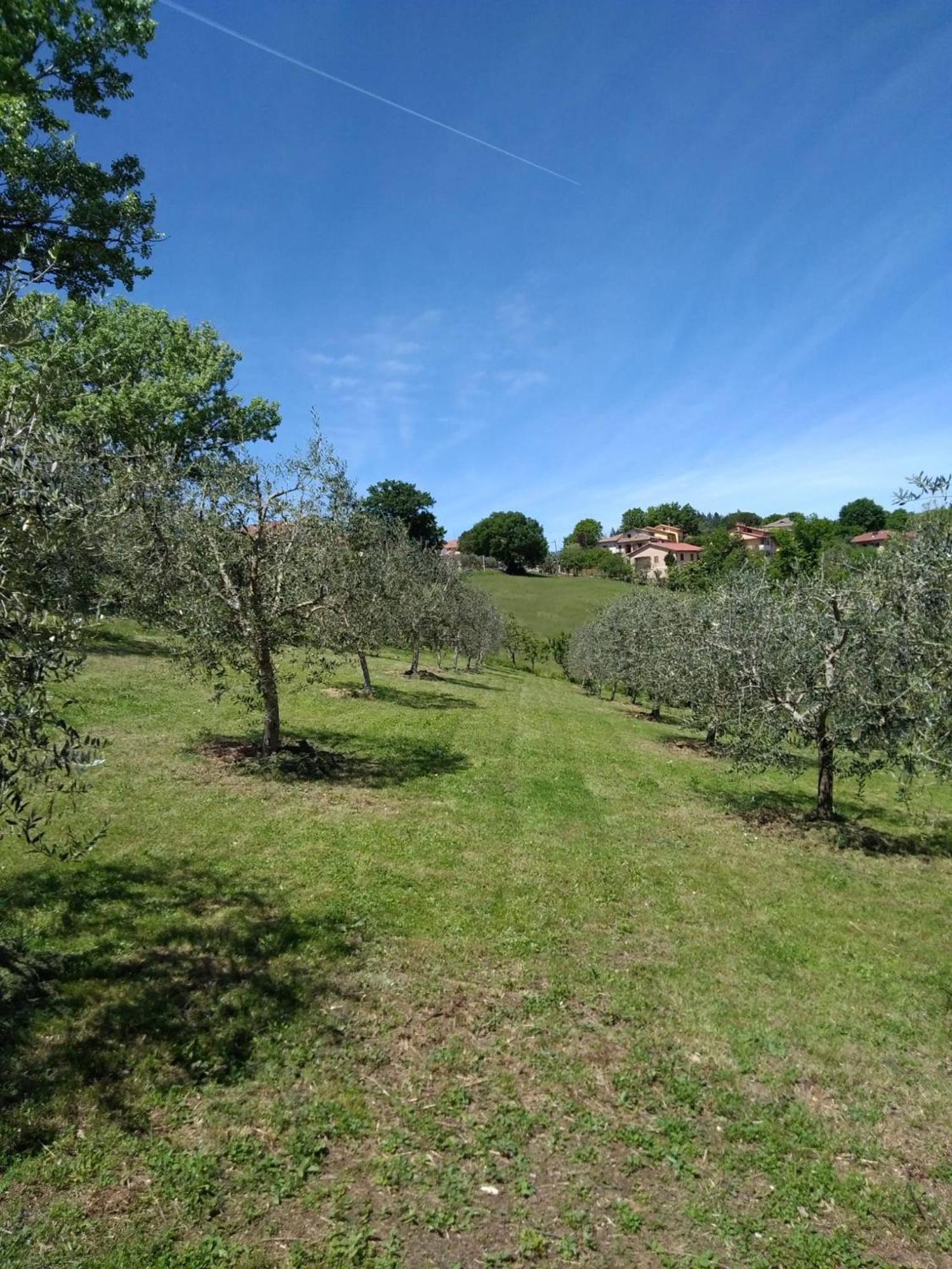 Appartamento Vigna del Poggio Anghiari Esterno foto